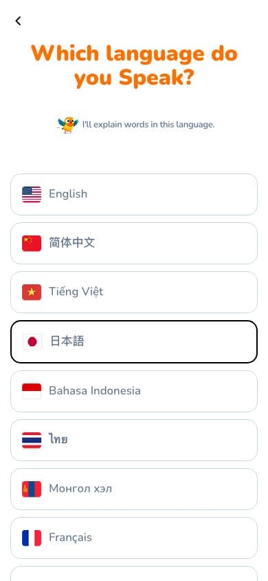 Vello service screen 4